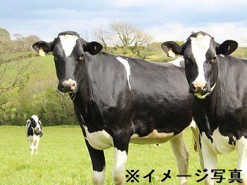 北海道下川町×コントラクター/法人【43573】-2