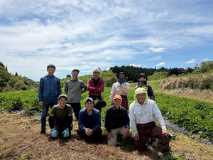 GREEN TIDE合同会社-top