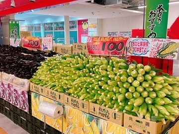 株式会社ロピア-4
