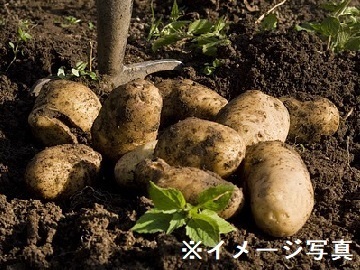 茨城県阿見町×露地野菜・畑作/法人【43581】-1