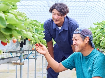 兵庫県稲美町×稲作・農業資材営業・集荷/法人【0778】-top