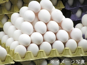 茨城県小美玉市×養鶏/法人【43584】-1