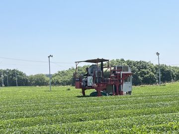 有限会社佐藤製茶工場-4