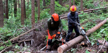 本州最大の面積を誇る“森の町”岩手県岩泉町で林業の担い手を募集！伐採だけでなく商品開発や森林ツアー企画など、森の価値を活かした新しい林業に挑戦できます。まずは2泊3日のおためし体験で、岩泉の暮らしと仕事を体感してみませんか？
