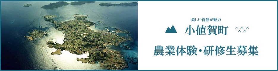 美しい島の自然を満喫しながら農業ができます！