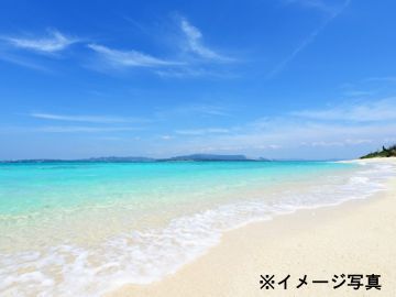 沖縄県石垣市×店舗運営/法人【43599】-top