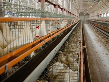 株式会社ホウトク農場-6