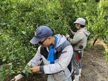 株式会社H.S.T.L.P 丸王果園-1