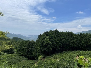 株式会社H.S.T.L.P 丸王果園-6