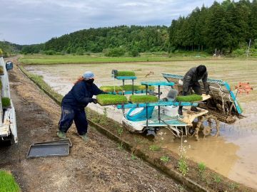 株式会社Duck's Farm-6