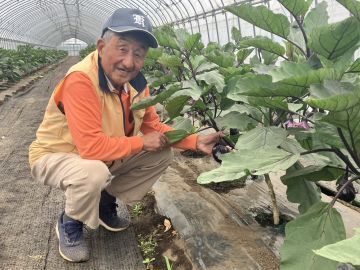 有限会社丸大園芸出荷組合-top