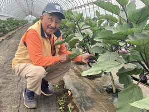 有限会社丸大園芸出荷組合-top