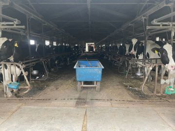 矢沢牧場-1