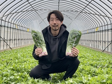ベジハート株式会社【農場スタッフ】-1