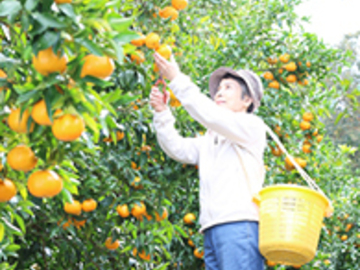 奈良県斑鳩町×農業資材営業/法人【35555】-2