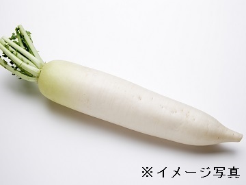 株式会社ミッション-5