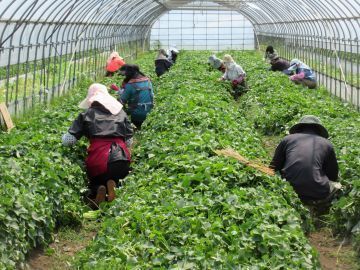 株式会社照沼-5