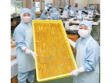 株式会社照沼-8
