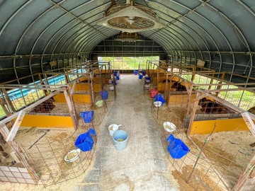 株式会社久井牧場-8