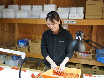 株式会社Japan Fruits-top