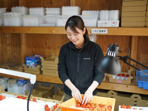 株式会社Japan Fruits-top