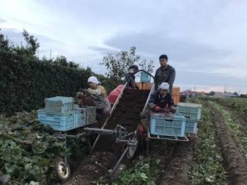 古川ファーム-1