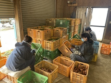 古川ファーム-4