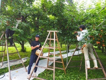 株式会社小野農園-1
