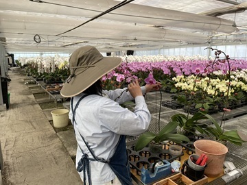 芳寿園-8