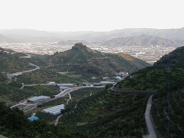 稲住果実園 (いなずみ)-8