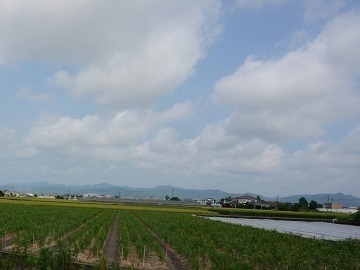 株式会社ながおか-7