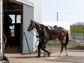 FUJIWARA STABLE-2