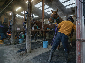 FUJIWARA STABLE-3