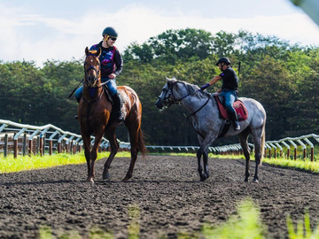 FUJIWARA STABLE-6