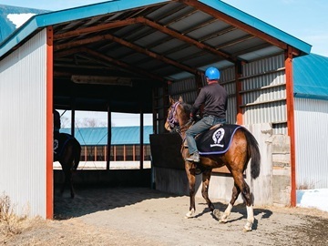 FUJIWARA STABLE-7