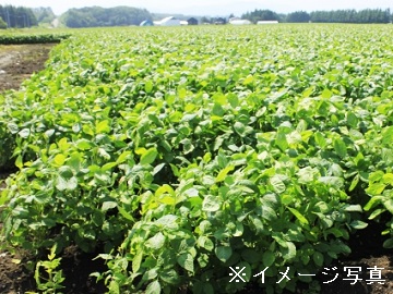 富山県入善町×稲作・野菜/法人【0841】-1