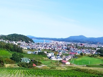 バーガンディー株式会社(Misono Vineyard)-6