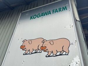 古川養豚-top