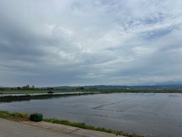 古川養豚-8