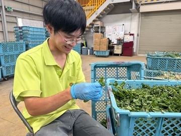 株式会社ドリームフィールド-4