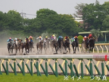東京都品川区×競走馬/個人【43686】-top