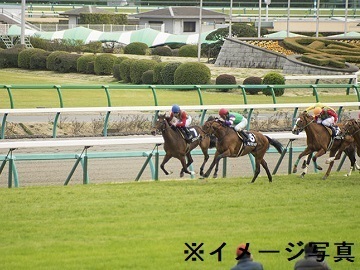 東京都品川区×競走馬/個人【43686】-2