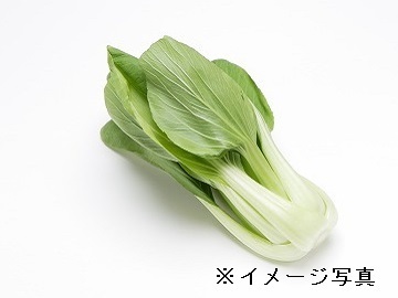スリーエムベジ株式会社-4