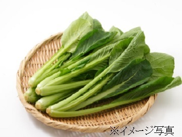 スリーエムベジ株式会社-8