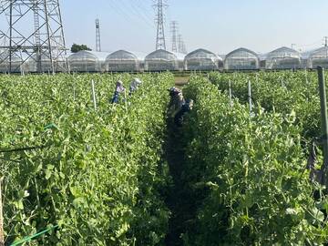 株式会社Farm大越-3