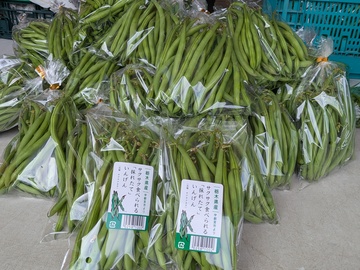 株式会社Farm大越-4