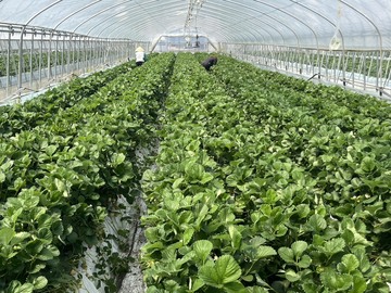 株式会社Farm大越-6