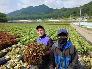 関農園(長野県川上村)-5