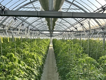 MAGOKOROFARM-1