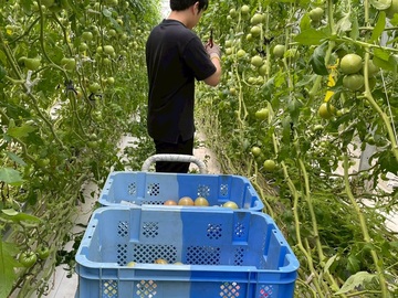 MAGOKOROFARM-7